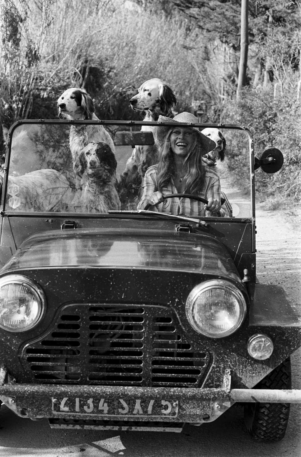 Bark and Howl